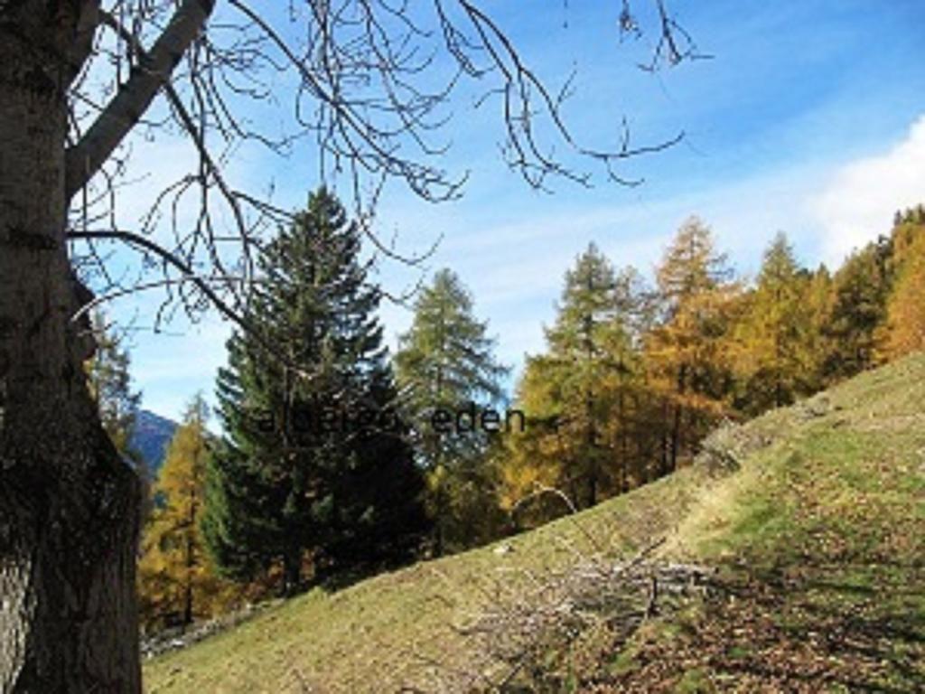 Albergo Eden Ponte Di Legno Esterno foto